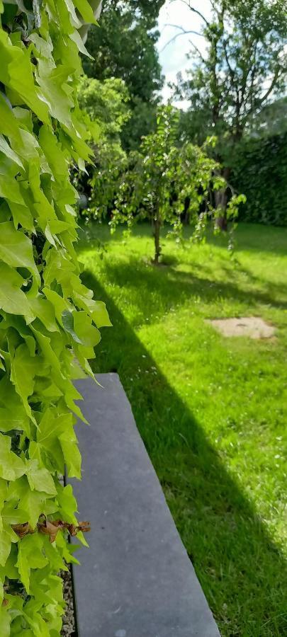 Beausaint Le Gai Pinson 빌라 외부 사진